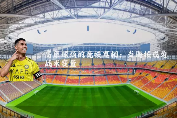 高原球场的竞技真相:当海拔成为战术变量